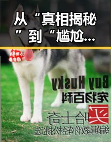 从“真相揭秘”到“尴尬一幕”,明星内幕大逆转引发热议🤔